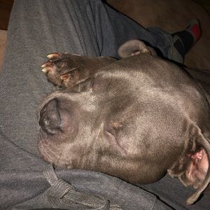 Meet your Posher, Rodolfo